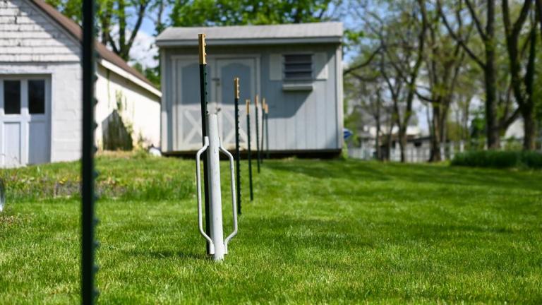 Nos conseils pour l'entretien des espaces verts à Lille